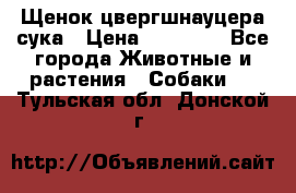 Щенок цвергшнауцера сука › Цена ­ 25 000 - Все города Животные и растения » Собаки   . Тульская обл.,Донской г.